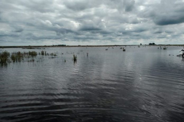 COMUNICADO DE PRENSA: La SRPGV expresa su apoyo a los productores inundados e inicia recorridas por zonas afectadas